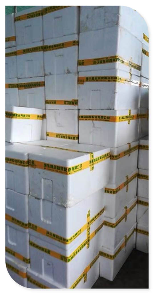 ��ҳ- �ڲ���������Ϊ��,רҵ����!