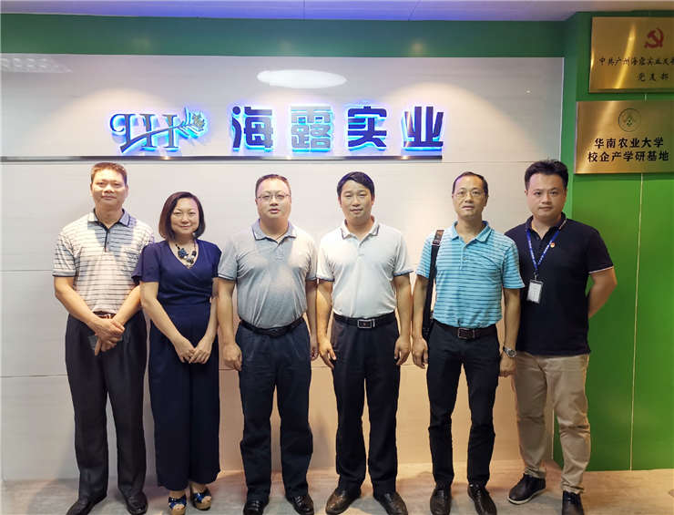 ��ҳ- �ڲ���������Ϊ��,רҵ����!