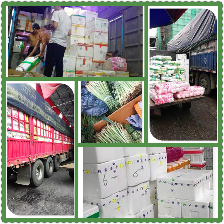 ��ҳ- �ڲ���������Ϊ��,רҵ����!