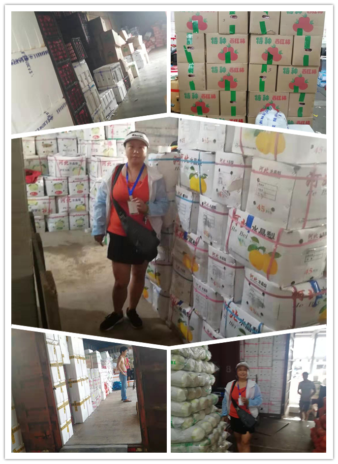 ��ҳ- �ڲ���������Ϊ��,רҵ����!