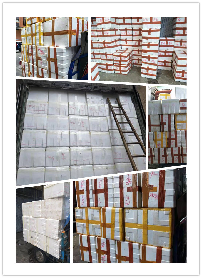 ��ҳ- �ڲ���������Ϊ��,רҵ����!