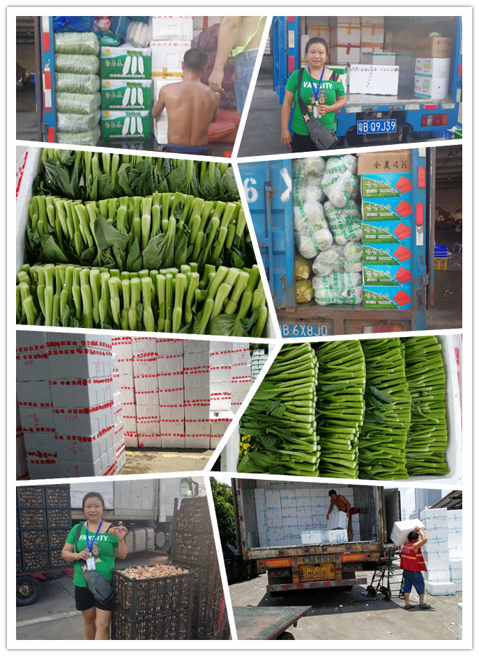 ��ҳ- �ڲ���������Ϊ��,רҵ����!