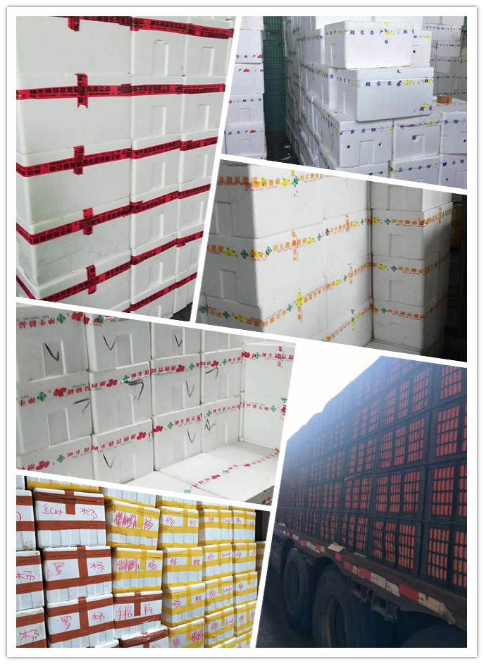 ��ҳ- �ڲ���������Ϊ��,רҵ����!