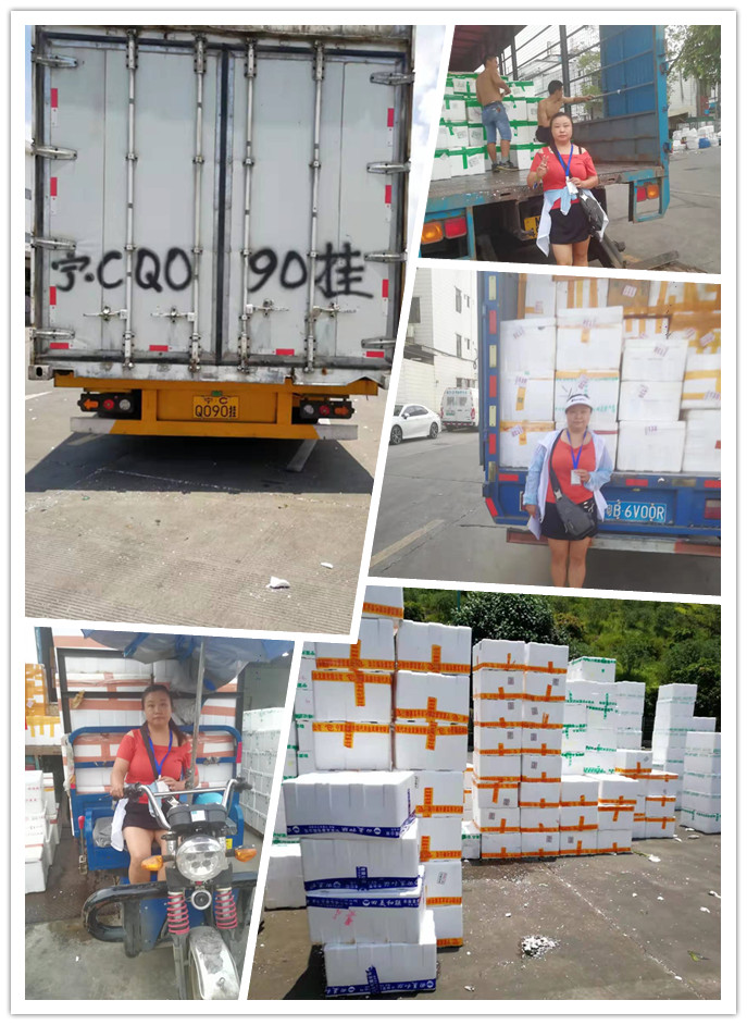 ��ҳ- �ڲ���������Ϊ��,רҵ����!