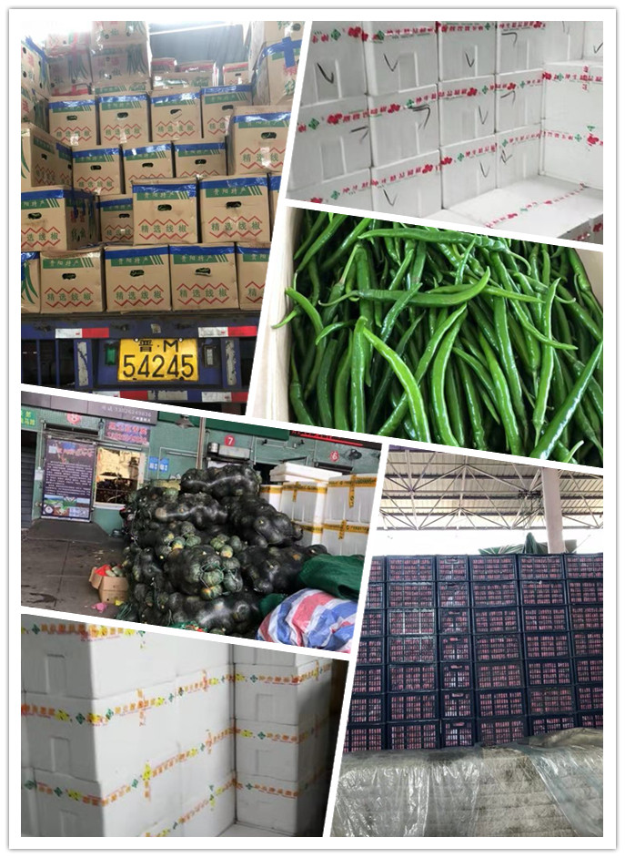 ��ҳ- �ڲ���������Ϊ��,רҵ����!