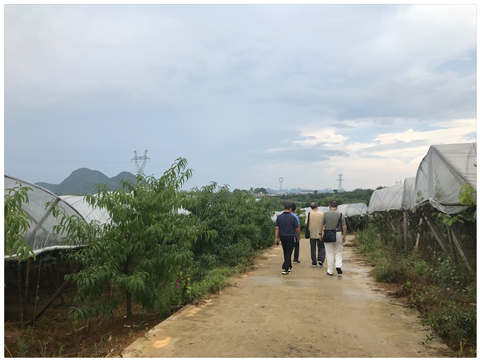 ��ҳ- �ڲ���������Ϊ��,רҵ����!