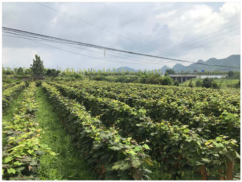 ��ҳ- �ڲ���������Ϊ��,רҵ����!