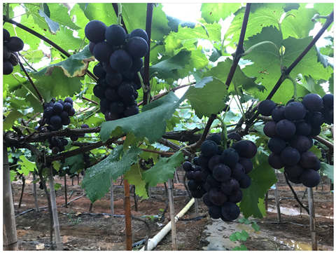 ��ҳ- �ڲ���������Ϊ��,רҵ����!