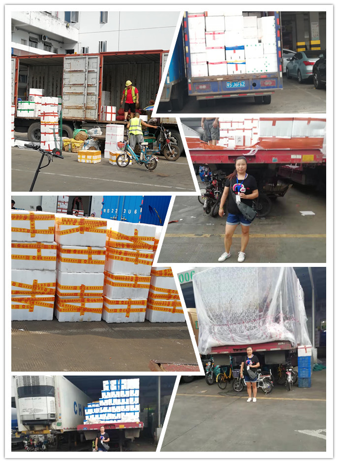 ��ҳ- �ڲ���������Ϊ��,רҵ����!