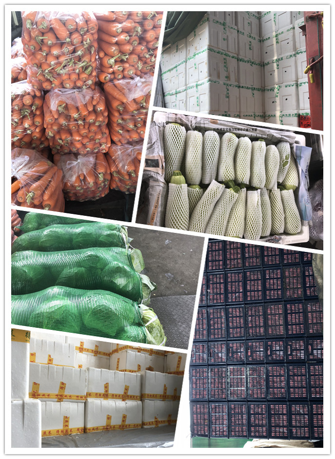 ��ҳ- �ڲ���������Ϊ��,רҵ����!