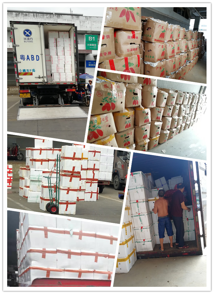 ��ҳ- �ڲ���������Ϊ��,רҵ����!