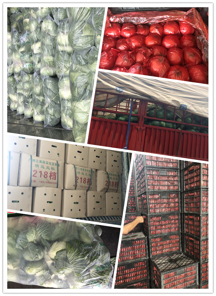 ��ҳ- �ڲ���������Ϊ��,רҵ����!