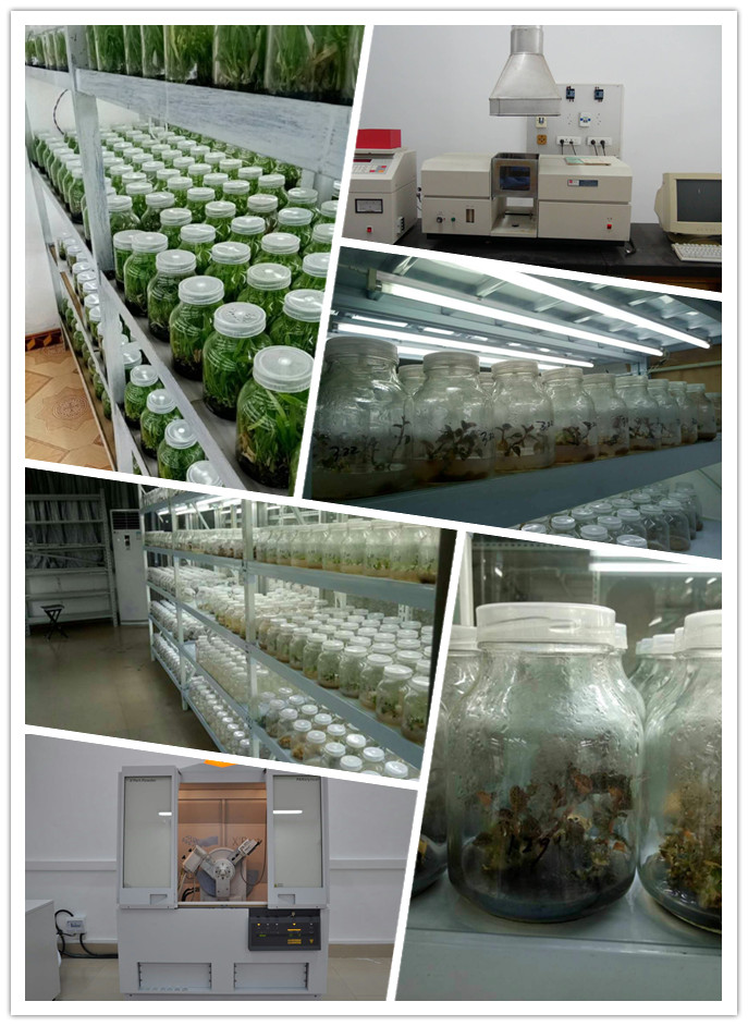 ��ҳ- �ڲ���������Ϊ��,רҵ����!