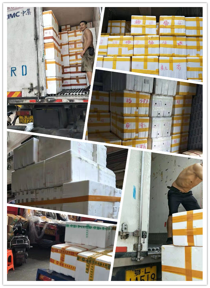 ��ҳ- �ڲ���������Ϊ��,רҵ����!