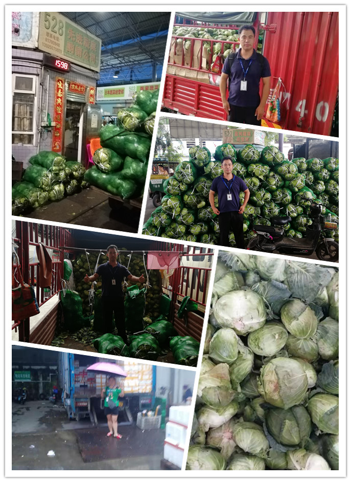 ��ҳ- �ڲ���������Ϊ��,רҵ����!