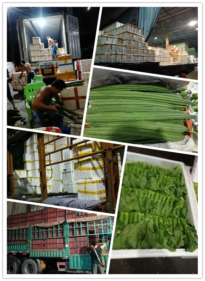 ��ҳ- �ڲ���������Ϊ��,רҵ����!