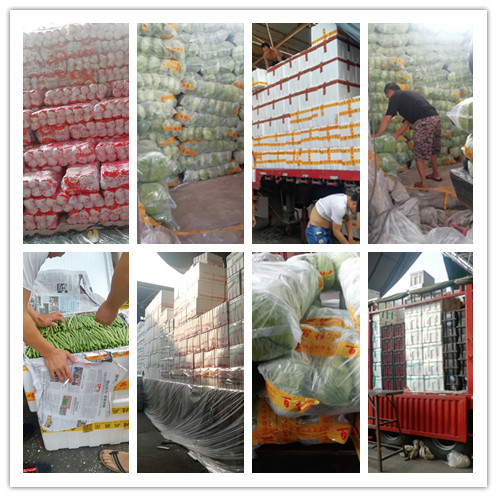 ��ҳ- �ڲ���������Ϊ��,רҵ����!