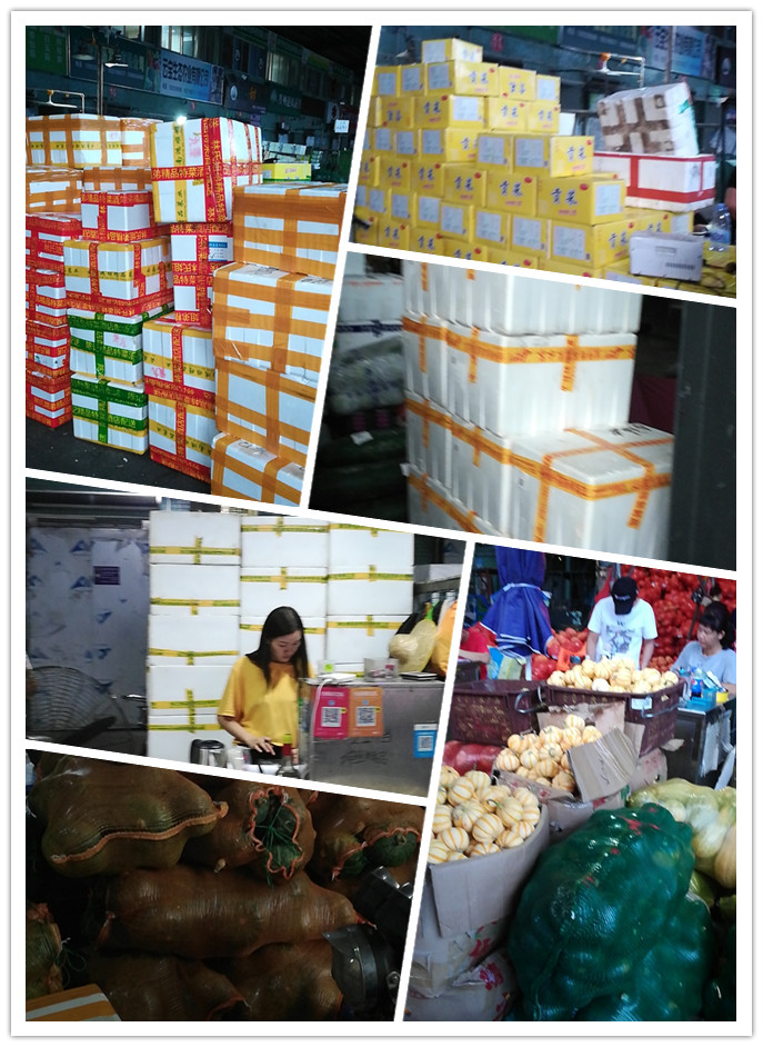 ��ҳ- �ڲ���������Ϊ��,רҵ����!