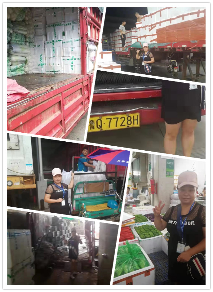 ��ҳ- �ڲ���������Ϊ��,רҵ����!