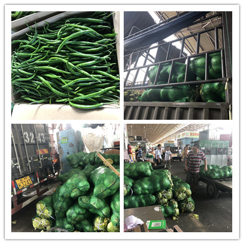 ��ҳ- �ڲ���������Ϊ��,רҵ����!