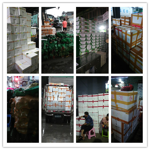 ��ҳ- �ڲ���������Ϊ��,רҵ����!