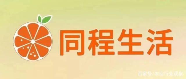 ��ҳ- �ڲ���������Ϊ��,רҵ����!