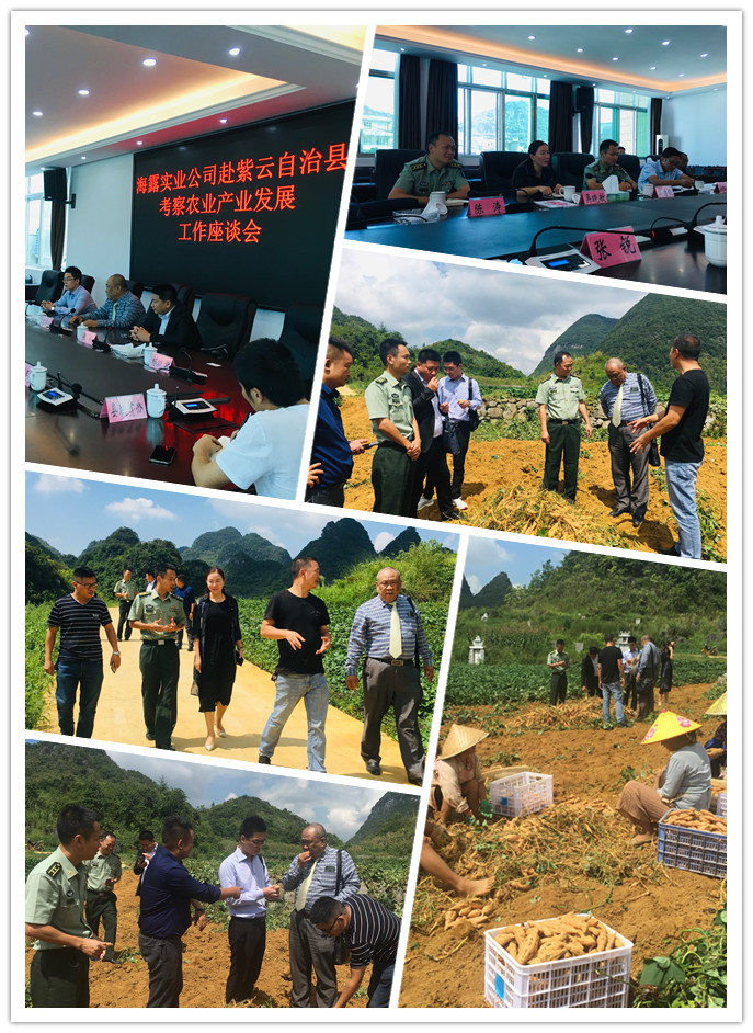 1-1ZZ41IUKL Ê×Ò³- ÌÚ²©¹ÙÍø³ÏÐÅΪ±¾,רҵ·þÎñ!