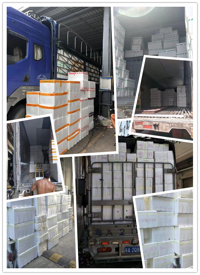 ��ҳ- �ڲ���������Ϊ��,רҵ����!