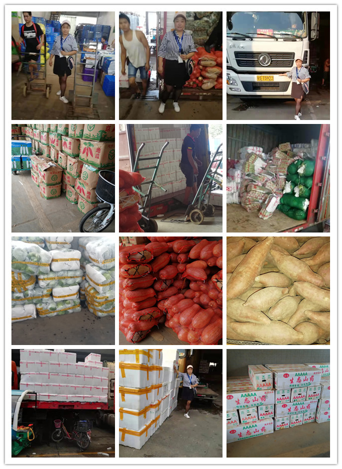 ��ҳ- �ڲ���������Ϊ��,רҵ����!