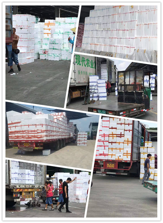 ��ҳ- �ڲ���������Ϊ��,רҵ����!