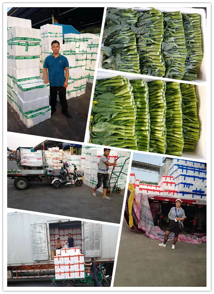 ��ҳ- �ڲ���������Ϊ��,רҵ����!