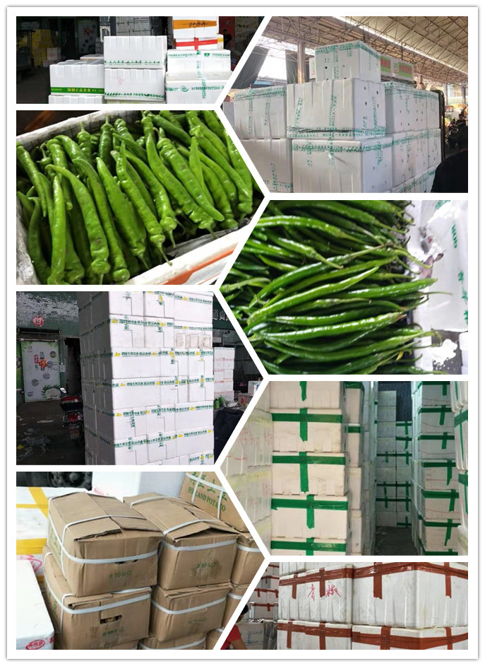 ��ҳ- �ڲ���������Ϊ��,רҵ����!