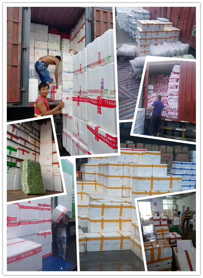 ��ҳ- �ڲ���������Ϊ��,רҵ����!