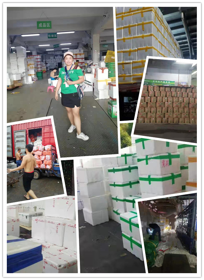 ��ҳ- �ڲ���������Ϊ��,רҵ����!