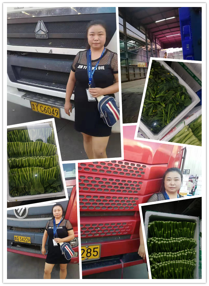 ��ҳ- �ڲ���������Ϊ��,רҵ����!