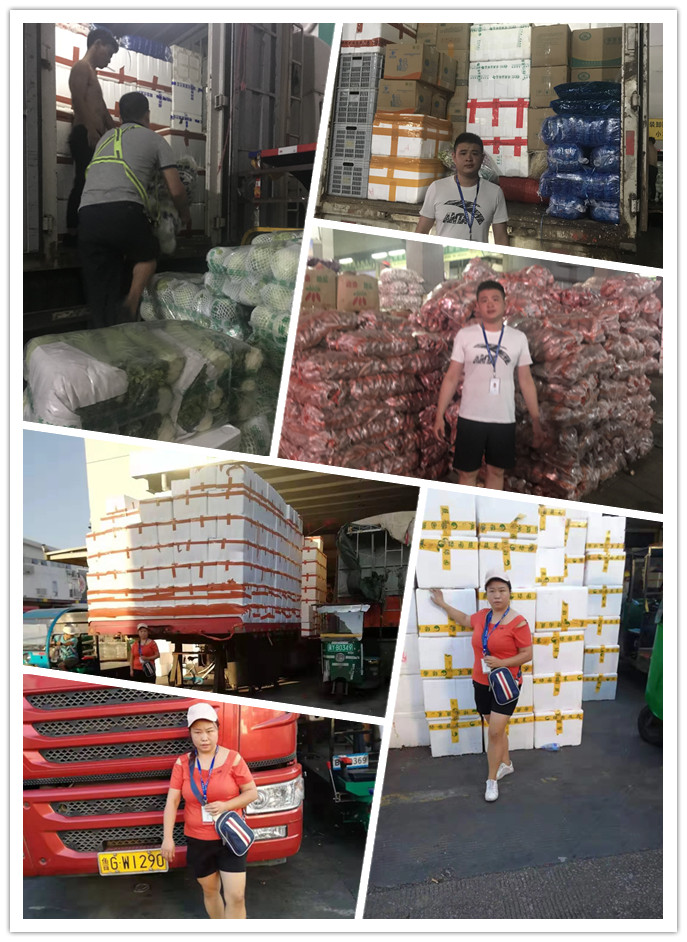 ��ҳ- �ڲ���������Ϊ��,רҵ����!