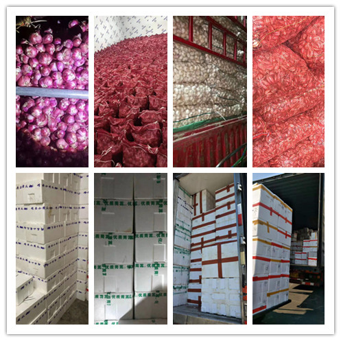 ��ҳ- �ڲ���������Ϊ��,רҵ����!