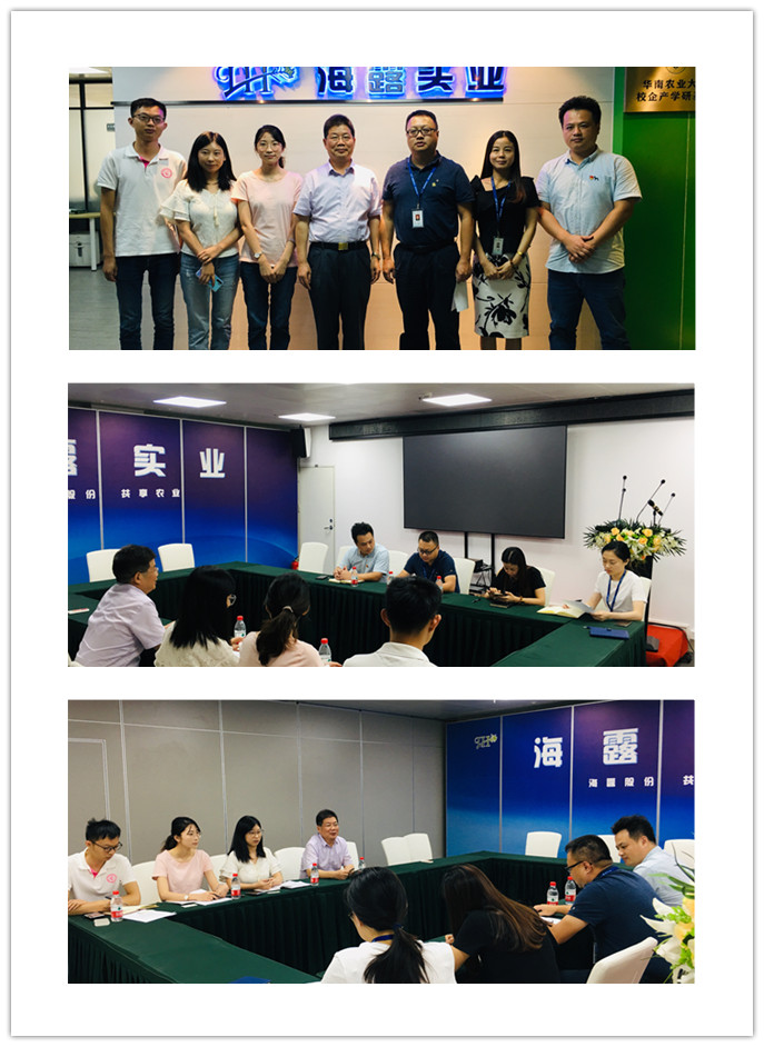 ��ҳ- �ڲ���������Ϊ��,רҵ����!