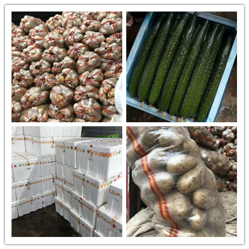 ��ҳ- �ڲ���������Ϊ��,רҵ����!