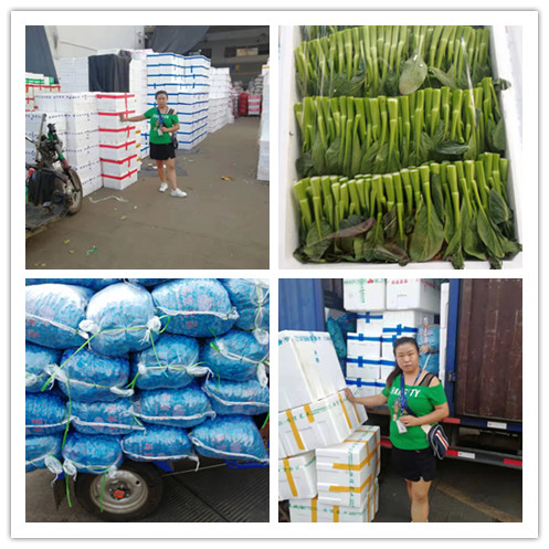 ��ҳ- �ڲ���������Ϊ��,רҵ����!