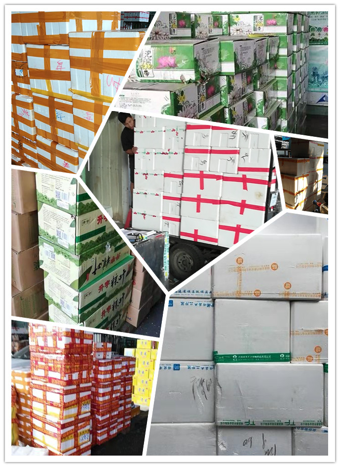 ��ҳ- �ڲ���������Ϊ��,רҵ����!