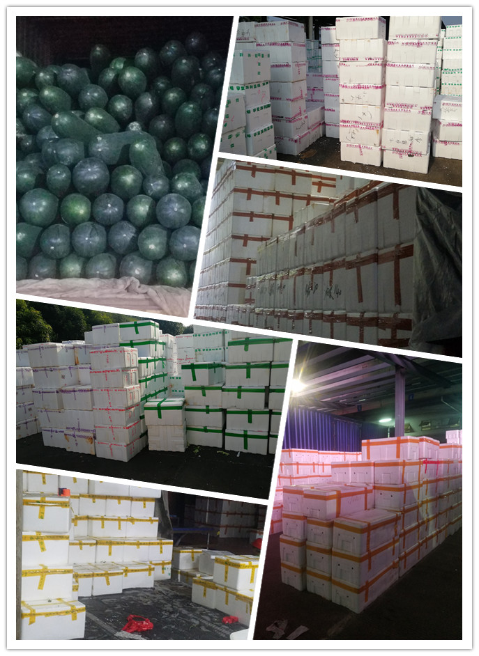 ��ҳ- �ڲ���������Ϊ��,רҵ����!