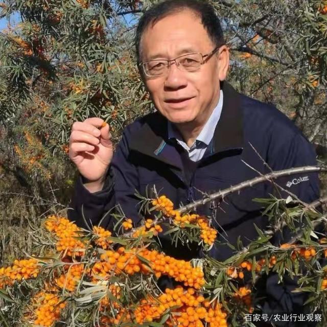 ��ҳ- �ڲ���������Ϊ��,רҵ����!