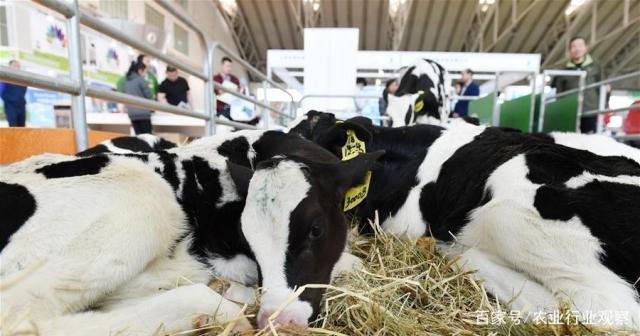 ��ҳ- �ڲ���������Ϊ��,רҵ����!