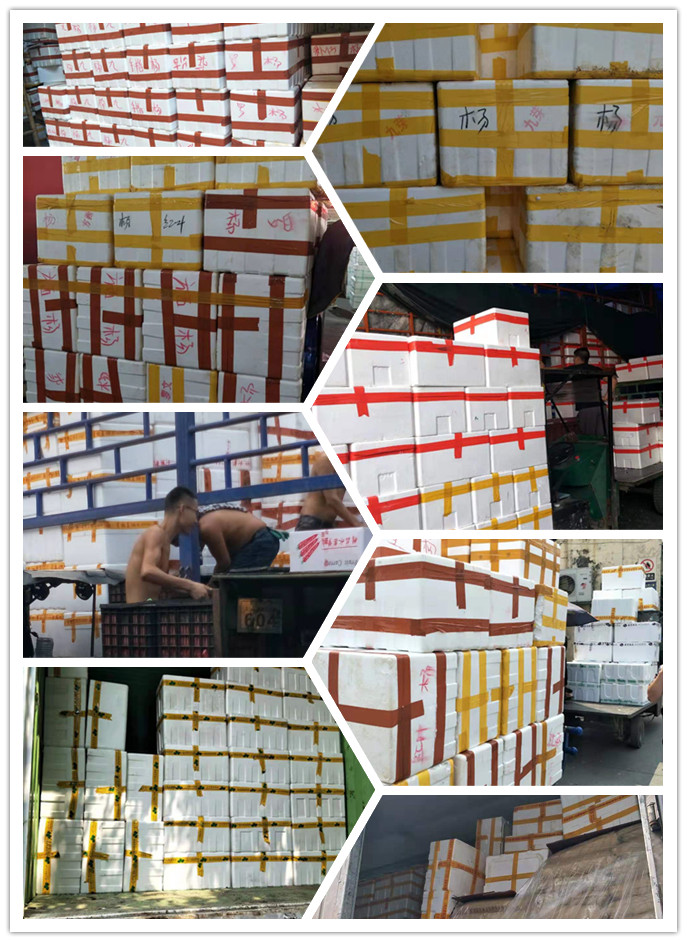 ��ҳ- �ڲ���������Ϊ��,רҵ����!