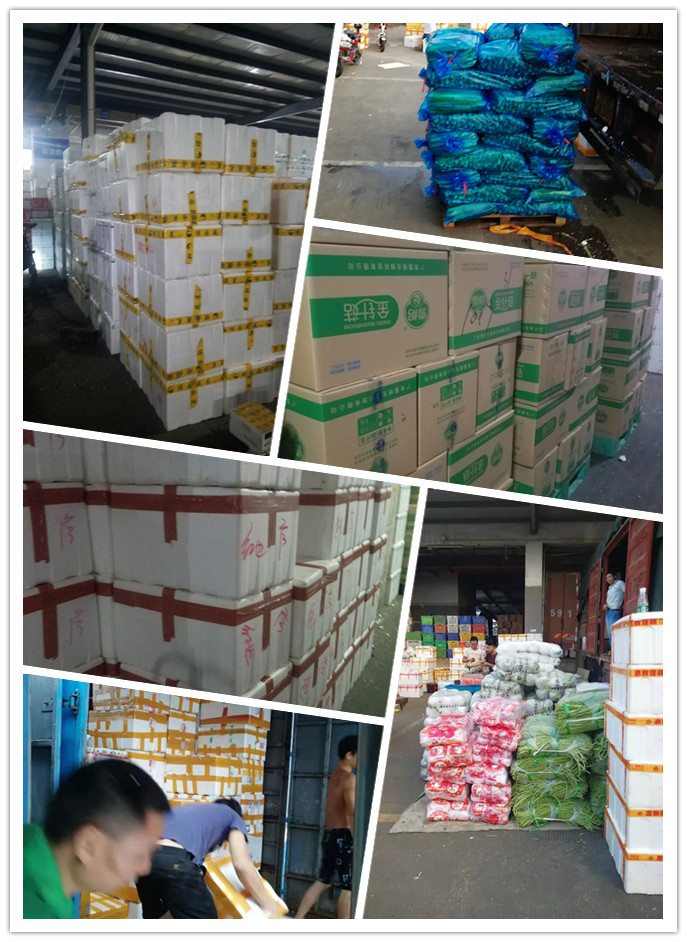 ��ҳ- �ڲ���������Ϊ��,רҵ����!