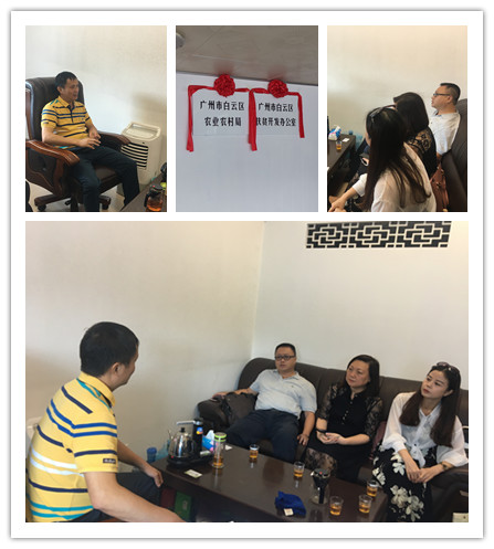 ��ҳ- �ڲ���������Ϊ��,רҵ����!