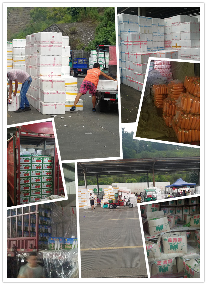 ��ҳ- �ڲ���������Ϊ��,רҵ����!