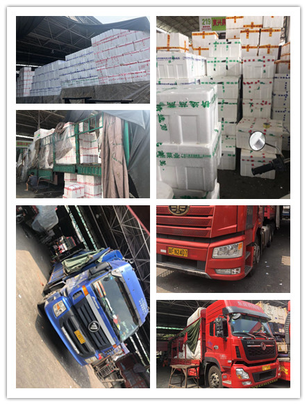 ��ҳ- �ڲ���������Ϊ��,רҵ����!