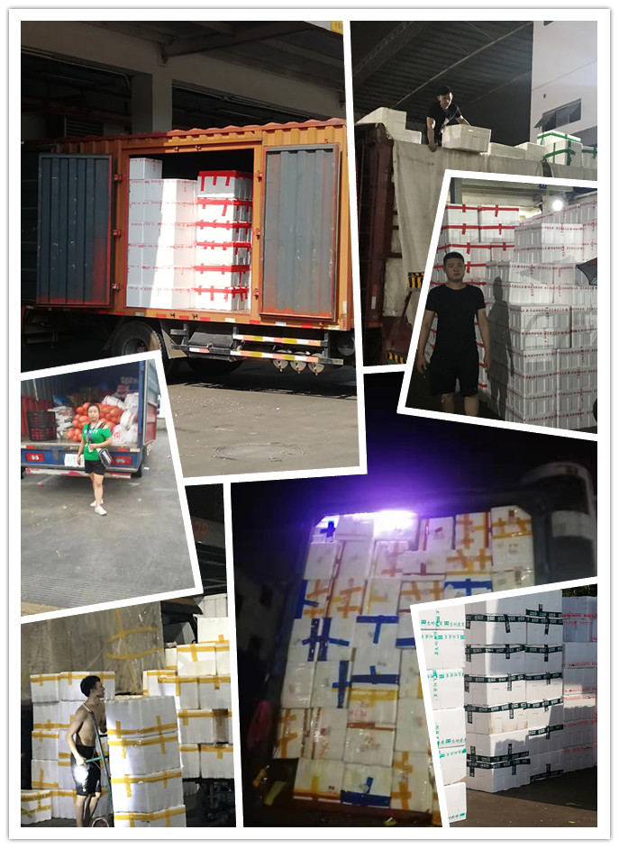 ��ҳ- �ڲ���������Ϊ��,רҵ����!